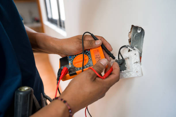 Best Electric Panel Repair  in Leipsic, OH